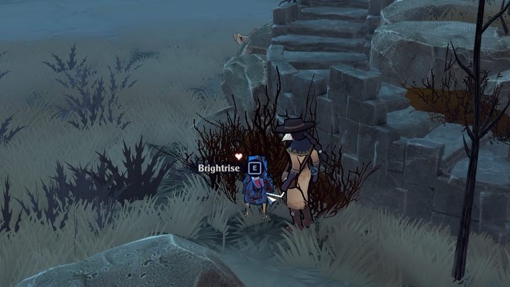 Później podejdźcie do kury i nakarmcie ją - podchodząc blisko ujrzycie komunikat nakarm (Feed) - The Serpent Rogue: Oswajanie zwierząt (Taming) - The Serpent Rogue - poradnik do gry