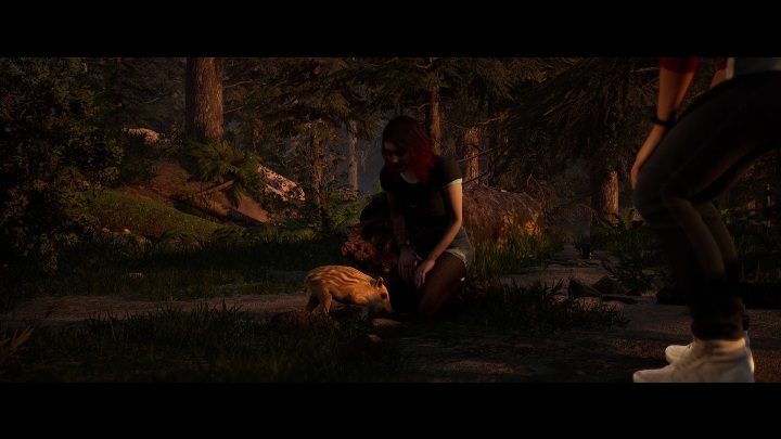 W obu przypadkach czeka Was spotkanie z małą i duża dziką świnią - The Quarry: Rozdział 2 - solucja, opis przejścia - The Quarry - poradnik do gry