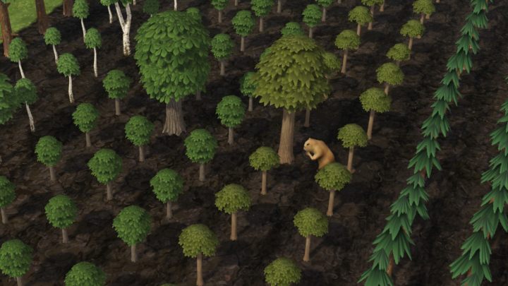 Zbudujcie kilka stanowisk drwala, oznaczcie drzewa przeznaczone do ścinki oraz postawcie magazyn na kłody - Timberborn: Rozwijanie osady - Timberborn - poradnik do gry