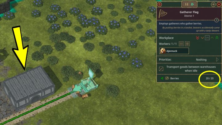 Powodem, dla którego Wasz robotnik siedzi bezczynnie przy dojrzałych krzakach jagód może być brak miejsca na składowanie tego materiału - Timberborn: Stanowisko zbieracza (magazynowanie jedzenia) - dlaczego nie zbiera jagód? - Timberborn - poradnik do gry