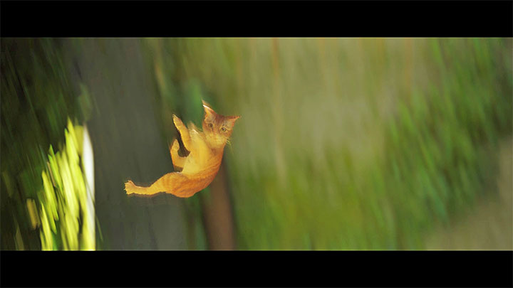 W grze nie ma ryzyka śmierci związanego z upadkami z dużej wysokości - Stray: Śmierć - czy można zginąć i jakie są konsekwencje? - Stray - poradnik do gry