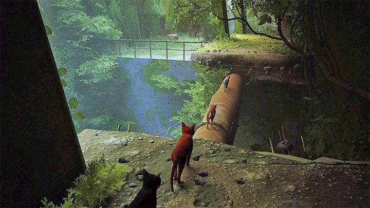 Po rozpoczęciu nowej gry od razu będziecie przebywać w towarzystwie innych bezdomnych kotów - Stray: Inne koty - czy są w grze? - Stray - poradnik do gry