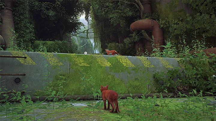 Grę rozpoczynajcie podróżując razem z kilkoma innymi kotami - Stray: Za murem (Inside the Wall), rozdział 1 - solucja, opis przejścia - Stray - poradnik do gry