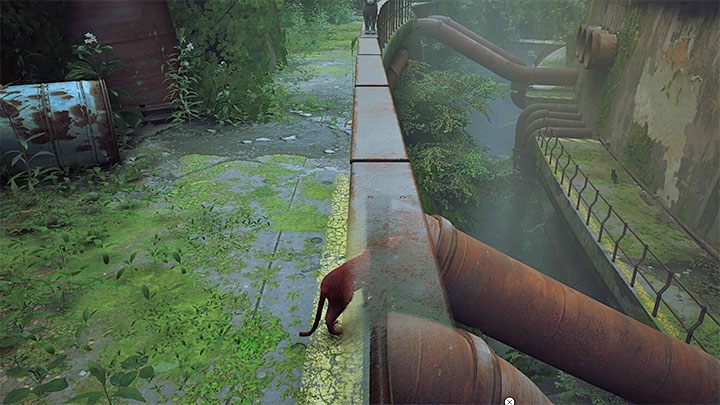 Ścieżka w pewnym momencie rozgałęzi się - możecie podróżować lewą (wyższą) lub prawą (niższą) - Stray: Za murem (Inside the Wall), rozdział 1 - solucja, opis przejścia - Stray - poradnik do gry