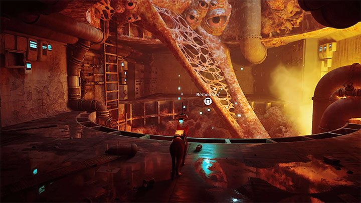 Nowe przejście doprowadzi Was do lokacji ze wspomnieniem - Stray: Kanały (The Sewers) - wszystkie wspomnienia (Memories) - Stray - poradnik do gry