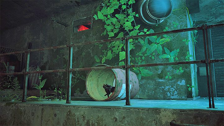 Dotrzecie z Docem do zamkniętego wejścia - Stray: Ślepy zaułek (Dead End), rozdział 7- solucja, opis przejścia - Stray - poradnik do gry