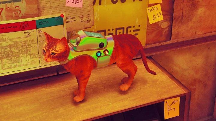 Do odblokowania jest łącznie 27 wspomnień - Stray: Sekrety i znajdźki - lista wszystkich - Stray - poradnik do gry