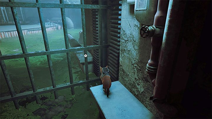 Podróż tratwą z Momo rozpoczęliście w kanałach po odnalezieniu Doca - miało to miejsce w rozdziale 7 - Stray: Kanały (The Sewers), rozdziału 8 - solucja, opis przejścia - Stray - poradnik do gry