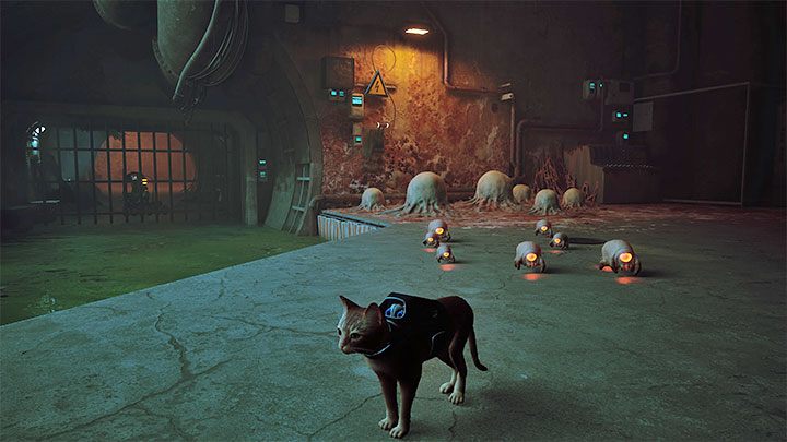 Musicie przejść górą żeby znaleźć się po drugiej stronie wody - Stray: Kanały (The Sewers), rozdziału 8 - solucja, opis przejścia - Stray - poradnik do gry