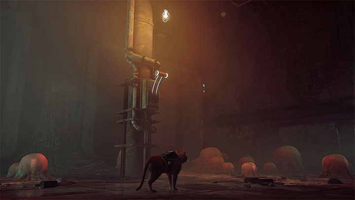 Trasa przeprawy jest liniowa - Stray: Kanały (The Sewers), rozdziału 8 - solucja, opis przejścia - Stray - poradnik do gry