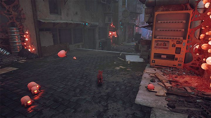 3 - Stray: Trofea / Osiągnięcia - lista wszystkich, poradnik trofeowy - Stray - poradnik do gry