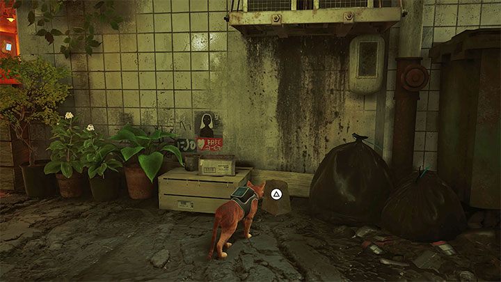 5 - Stray: Trofea / Osiągnięcia - lista wszystkich, poradnik trofeowy - Stray - poradnik do gry