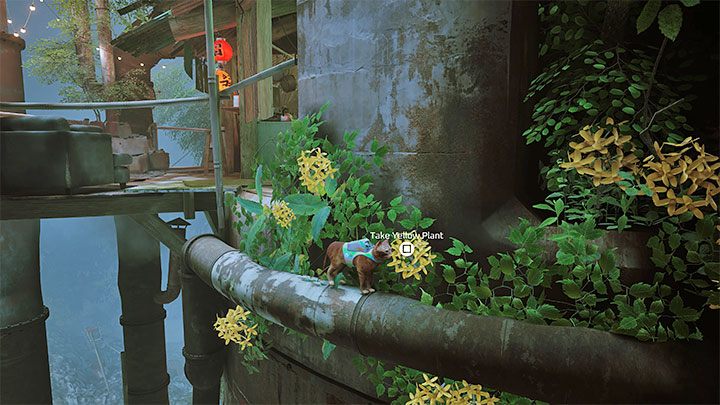 Żółta roślina (Yellow Plant) jest ukryta obok baru - Stray: Odznaki (Badges) - lista wszystkich - Stray - poradnik do gry