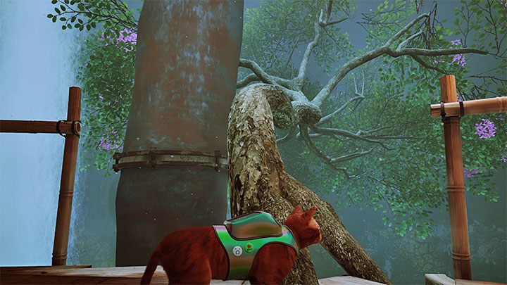 1 - Stray: Odznaki (Badges) - lista wszystkich - Stray - poradnik do gry