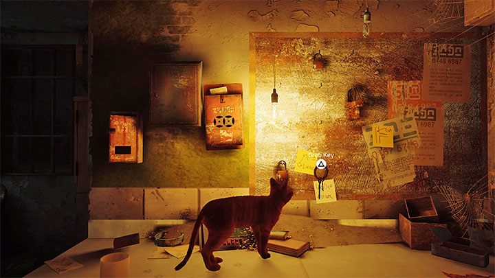 Wskoczcie na stół i zdejmijcie klucz ze ściany - Stray: Areszt (Jail), rozdział 11- solucja, opis przejścia - Stray - poradnik do gry