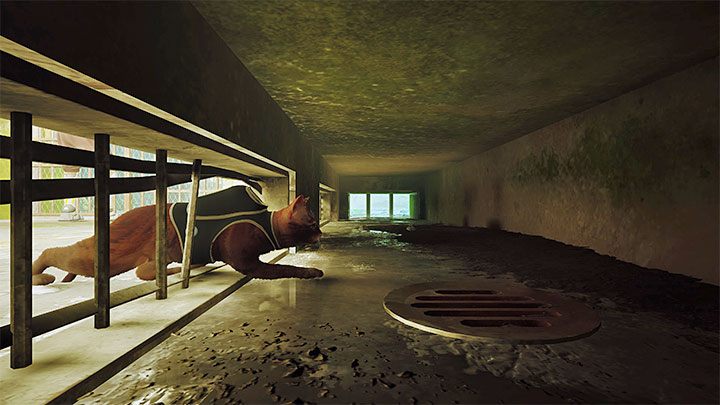 Dotrzyjcie z Clementine do nowych małych drzwi - Stray: Areszt (Jail), rozdział 11- solucja, opis przejścia - Stray - poradnik do gry
