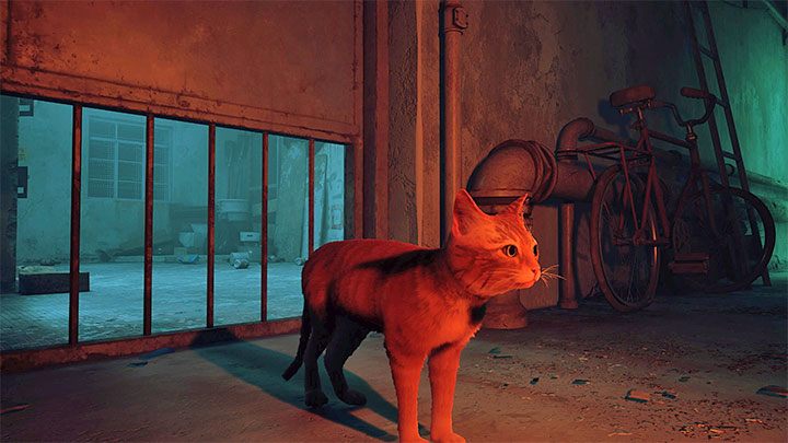 Wygląd sterowanego w Stray zwierzaka prezentuje powyższy obrazek - Stray: Zmiana wyglądu kota - czy jest możliwa? - Stray - poradnik do gry