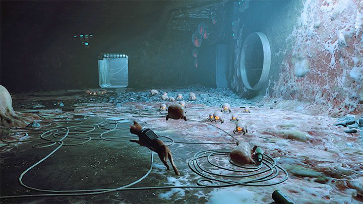 Zurki to nazwa potworów występujących w grze - Stray: Walka i skradanie się - Zurki (Zurks) i Wartownicy (Sentinels) - Stray - poradnik do gry