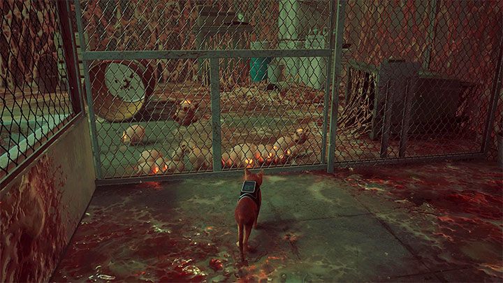 Przejście przez niektóre lokacje może wymuszać przechytrzenie i uwięzienie Zurków np - Stray: Walka i skradanie się - Zurki (Zurks) i Wartownicy (Sentinels) - Stray - poradnik do gry