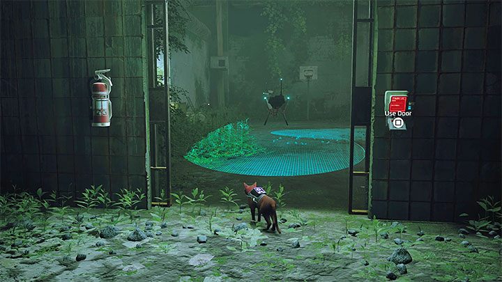 Gra nie pozwala eliminować Wartowników - Stray: Walka i skradanie się - Zurki (Zurks) i Wartownicy (Sentinels) - Stray - poradnik do gry