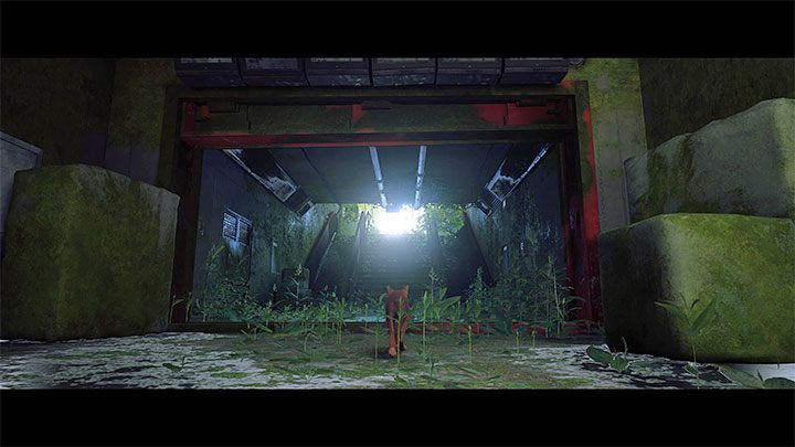 3 - Stray: Zakończenie gry - solucja, opis finału - Stray - poradnik do gry