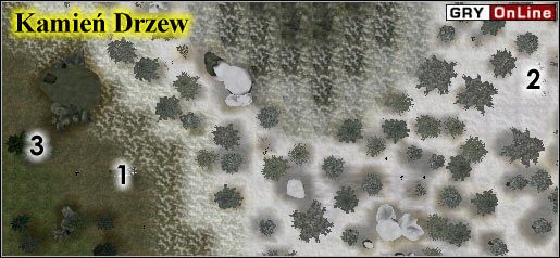Znajdujesz się obok kamienia, w [1] - [Kampania Główna] Rozdział 1 cz. 4 | The Elder Scrolls III Przepowiednia - The Elder Scrolls III: Przepowiednia - poradnik do gry