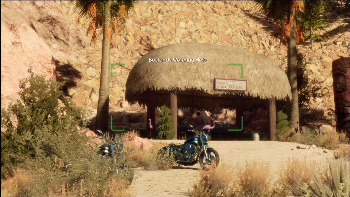 Aby spełnić założenia tej aktywności musicie jedynie zrobić zdjęcie - Saints Row 2022: Odkrycia (Północne Pustkowia) - lista i opisy aktywności - Saints Row - poradnik do gry