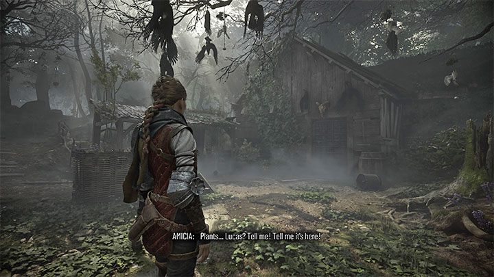 Odnalezienie rumianku stanie się możliwe po dotarciu do chatki herbalisty i ma to miejsce niedługo po tym jak będziecie świadkami jego śmierci - Plague Tale Requiem: Rozdział 3 (Brzemię krwi) - lista sekretów - A Plague Tale Requiem - poradnik do gry