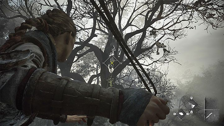 Podejdźcie do dużego lewego drzewa - Plague Tale Requiem: Rozdział 3 (Brzemię krwi) - lista sekretów - A Plague Tale Requiem - poradnik do gry