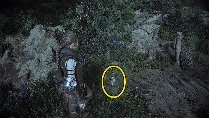 Na potrzeby awansowania w etapie idzie się w lewo, ale chcąc znaleźć sekret musicie udać się w prawo - Plague Tale Requiem: Rozdział 4 (Obowiązek opiekunki) - lista sekretów - A Plague Tale Requiem - poradnik do gry