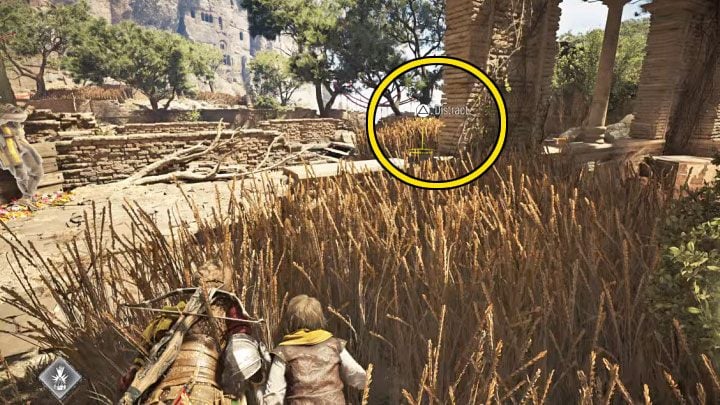 Dotrzecie do miejsca pilnowanego przez pojedynczego strażnika - Plague Tale Requiem: Ominięcie punktu kontrolnego (Find a way around the checkpoint) - solucja, opis przejścia - A Plague Tale Requiem - poradnik do gry