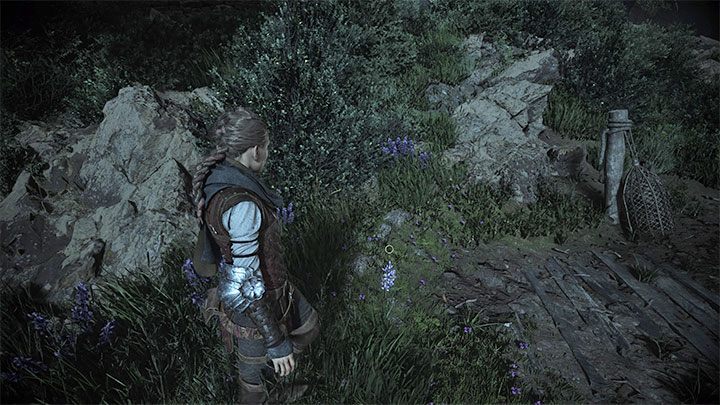 Na początek udajcie się w prawo i zbadajcie linię brzegową - Plague Tale Requiem: Znalezienie łodzi Zakonu (Find the Orders boat) - solucja, opis przejścia - A Plague Tale Requiem - poradnik do gry