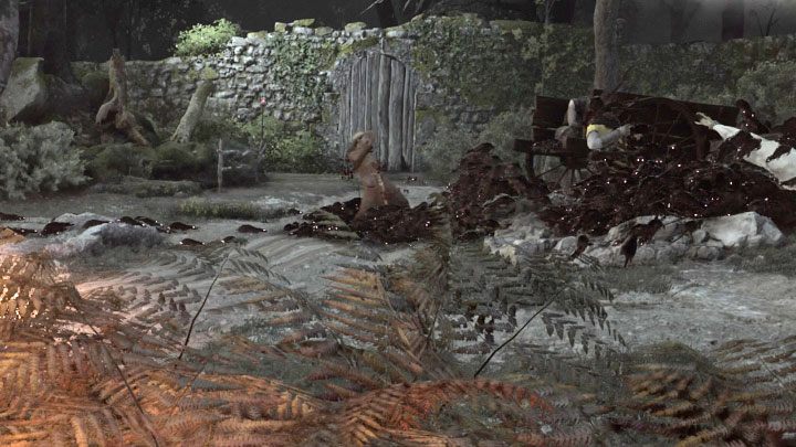 Główna fabuła zakłada, że herbalista musi zginąć - Plague Tale Requiem: Czy można uratować herbalistę w rozdziale 3? - A Plague Tale Requiem - poradnik do gry