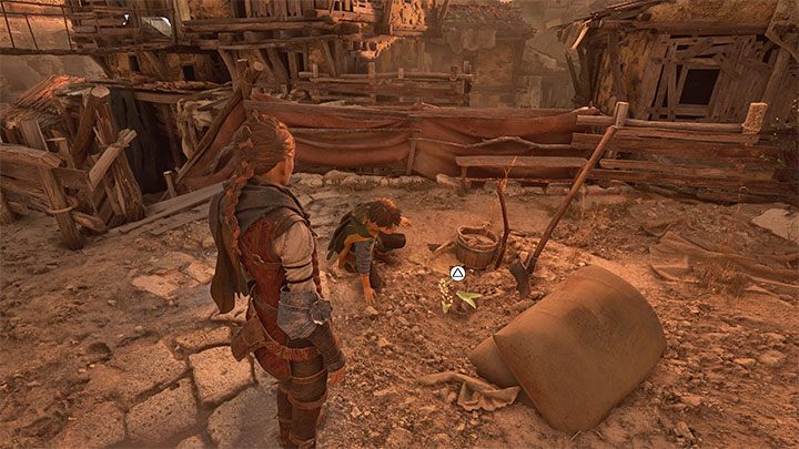 Rozejrzyjcie się po okolicy, a natraficie na kwiat (Lucas powinien się przy nim zatrzymać) - Plague Tale Requiem: Rozdział 2 (Nowo przybyli) - lista sekretów - A Plague Tale Requiem - poradnik do gry