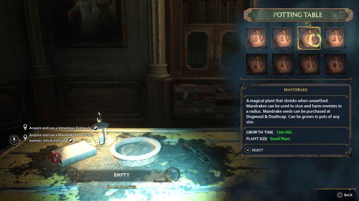 Powróćcie do pokoju życzeń i skorzystajcie ze stołu zielarskiego z małą donicą (Potting Table with a Small Pot) - Hogwarts Legacy: Zadanie Profesor Garlick 1 (Professor Garlicks Assignment 1) - Hogwarts Legacy - poradnik do gry