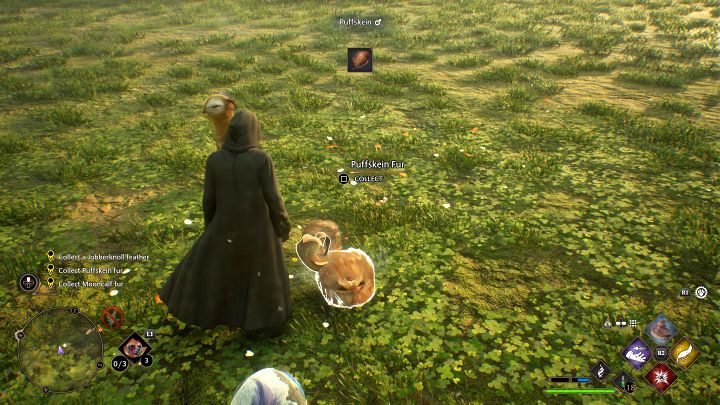 Z samouczka dowiecie się, że możecie opiekować się nad schwytanymi zwierzętami - Hogwarts Legacy: Skrzat, cap-sakwa i krosno (The Elf, The Nab-Sack, and the Loom) - Hogwarts Legacy - poradnik do gry