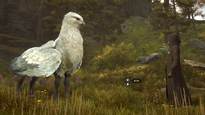 Porozmawiajcie z Poppy i wyruszcie za nią na małe wzgórze - Hogwarts Legacy: Zajęcia o zwierzętach (Beasts Class) - Hogwarts Legacy - poradnik do gry
