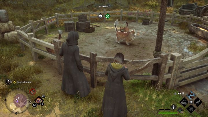 Po obejrzeniu cut-scenki z przepędzenia uczniów ponownie wybierajcie szczotkę do czesania z zwierząt i karmę dla zwierząt - Hogwarts Legacy: Zajęcia o zwierzętach (Beasts Class) - Hogwarts Legacy - poradnik do gry