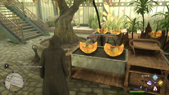 Wyjdźcie po schodach na górę i porozmawiajcie z Leanderem - Hogwarts Legacy: Zajęcia z zielarstwa (Herbology Class) - Hogwarts Legacy - poradnik do gry