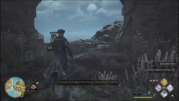 Owady te znajdziecie przykładowo pod mostem, dlatego warto zeskoczyć na niższy poziom wzniesienia - Hogwarts Legacy: Dwór Cape - wszystkie Łamigłówki Merlina - Hogwarts Legacy - poradnik do gry