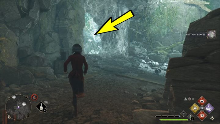 Skręćcie w lewo i usuńcie pajęczynę zasłaniającą przejście - Hogwarts Legacy: Skrzynie skarbów Dolina Hogsmeade (Hogsmeade Valley) - Hogwarts Legacy - poradnik do gry