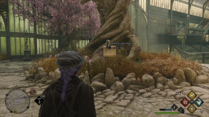 Nazwa: Drzewo w szklarni (Greenhouse Tree) - Hogwarts Legacy: Aneks biblioteki (The Library Annex) - Hogwarts Legacy - poradnik do gry