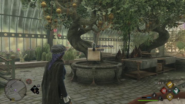 Nazwa: Sterowane śliwki (Dirigible Plums) - Hogwarts Legacy: Aneks biblioteki (The Library Annex) - Hogwarts Legacy - poradnik do gry