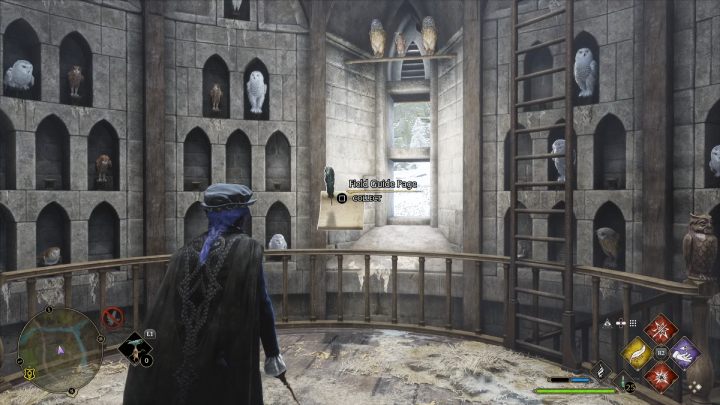 Nazwa: Sowy Hogwartu (Hogwarts Owls) - Hogwarts Legacy: Skrzydło dzwonnicy (The Bell Tower Wing) - Hogwarts Legacy - poradnik do gry