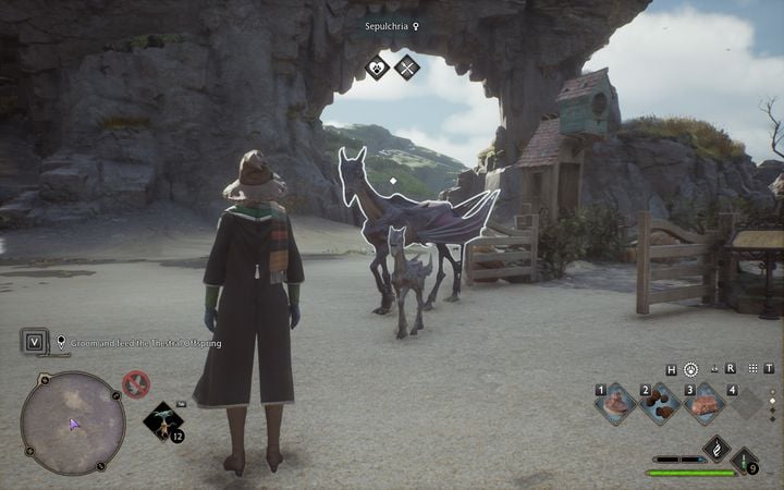 Pamiętajcie, że musicie mieć dwa osobniki przeciwnej płci (oznaczenia znajdziecie obok imion zwierząt) i muszą się znajdować w tym samym vivarium - Hogwarts Legacy: Czy można mieć swoje zwierzę? - Hogwarts Legacy - poradnik do gry