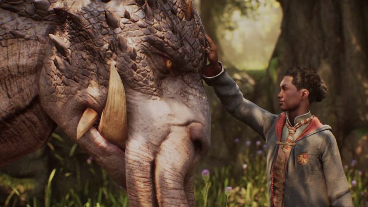 Poznanie całego świata jaki oferuje Hogwarts Legacy i zaliczenie gry w 100% wymagać od Was będzie poświecenia około 70 godzin - Hogwarts Legacy: Długość gry - Hogwarts Legacy - poradnik do gry