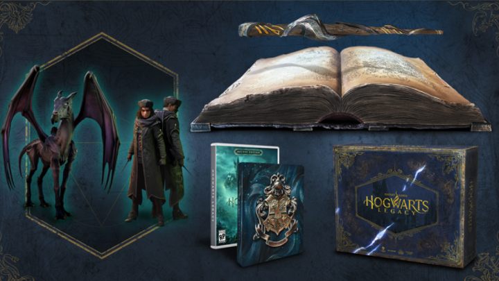 Edycja ta wyjdzie na konsole od PlayStation oraz Xbox najnowszej i poprzedniej generacji oraz na komputery osobiste - Hogwarts Legacy: Edycje gry - Hogwarts Legacy - poradnik do gry