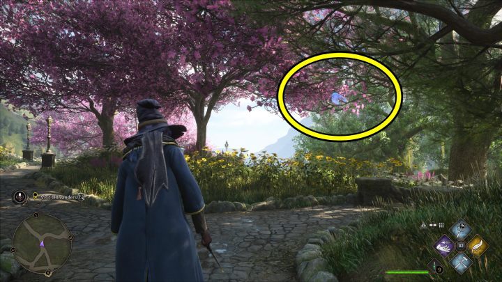 Kolejna z latających stron Flying Guide Page #10 (Hogsmeade) jest w południowo-wschodniej części wioski - Hogwarts Legacy: Strony przewodnika (Field Guide Pages) - Hogsmeade - Hogwarts Legacy - poradnik do gry