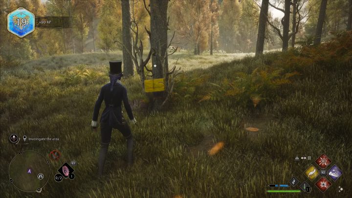 Po walce z wilkami, użyjcie zaklęcia Revelio i odnajdźcie torbę Archiego na pobliskim drzewie - Hogwarts Legacy: Zaginione dziecko (The Lost Child) - Hogwarts Legacy - poradnik do gry