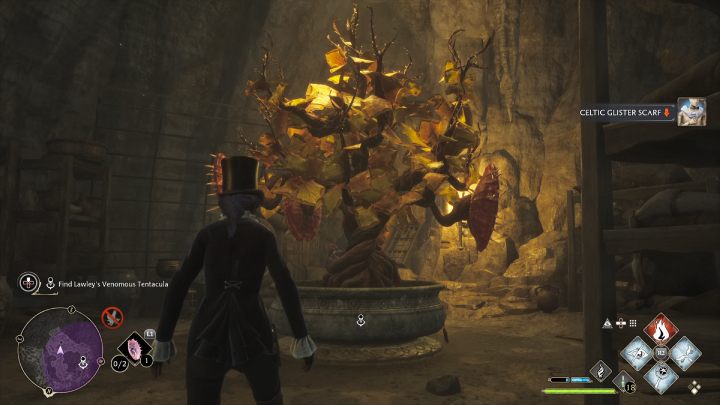 Pokonajcie pająki z następnego pomieszczenia oraz zbierzcie wszystkie rośliny i worki z monetami - Hogwarts Legacy: Jadowita zemsta (Venomous Revenge) - Hogwarts Legacy - poradnik do gry